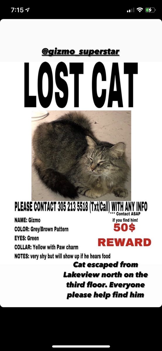 theFIUcats's tweet photo. Do you remember Tiny/Izzy? Well, someone adopted her, and now she’s lost. :/ 

If you see her, please contact the number provided in the photo! Thank you! https://t.co/gEBjFEy25j