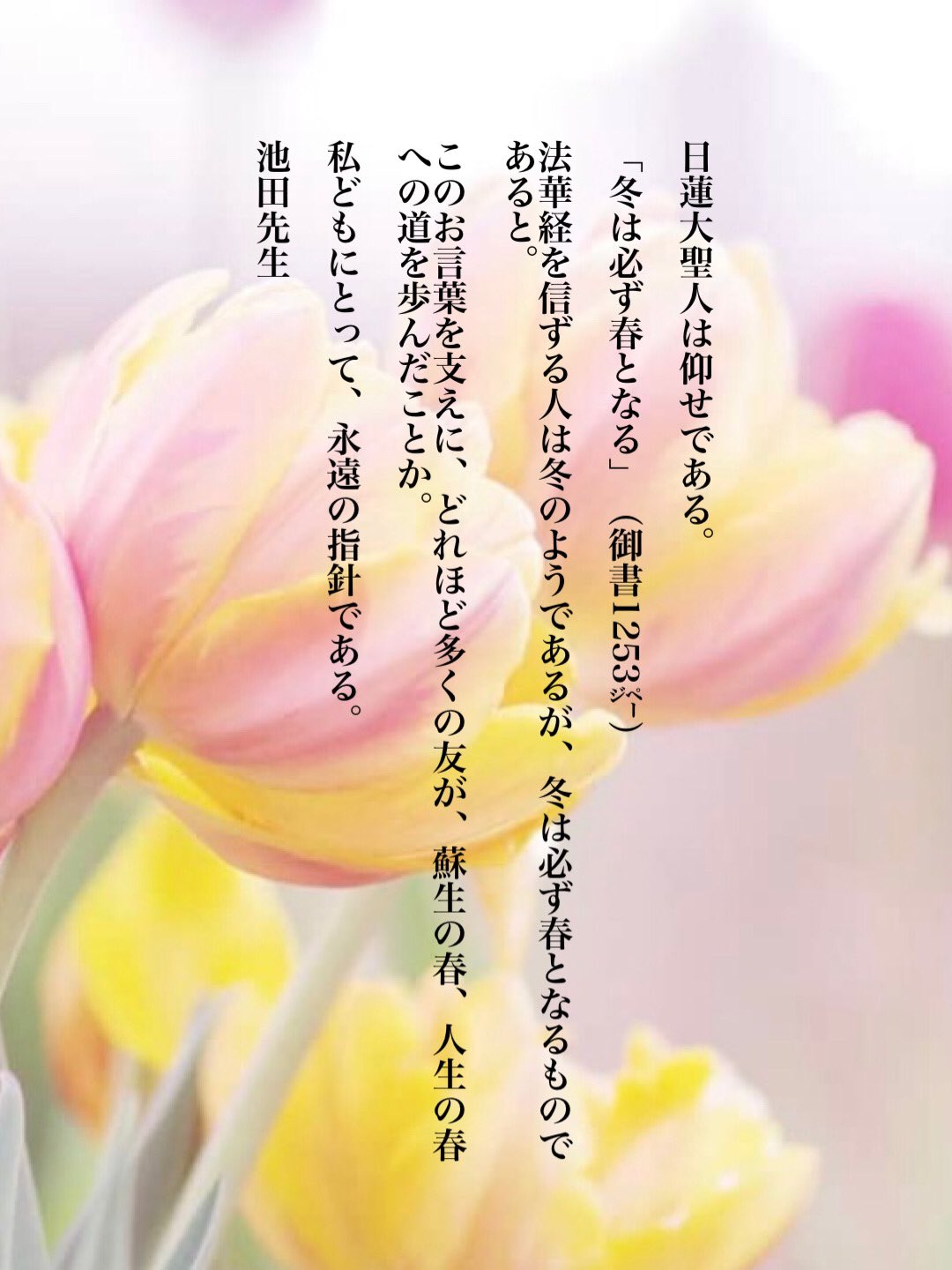 絆 踊り : 冬は必ず春となる