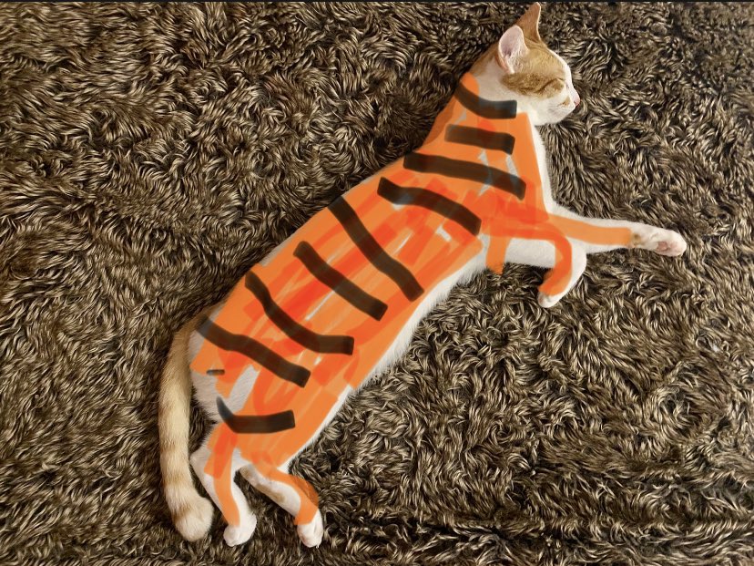 IncNaturalist's tweet image. I fixed the cat. Happy Chinese New Year!🎇 Year of the Tiger 🐅