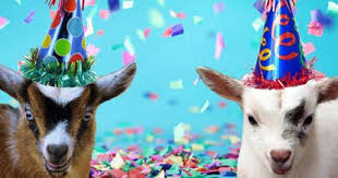 Felicidades a nuestros socios de 2 cuernos por 2 años en los E-sports
<a href="/goatesportsclub/">Goat Esports #LetsGOAT💢</a>  @LVPCAyCLoL #ElementsLoL