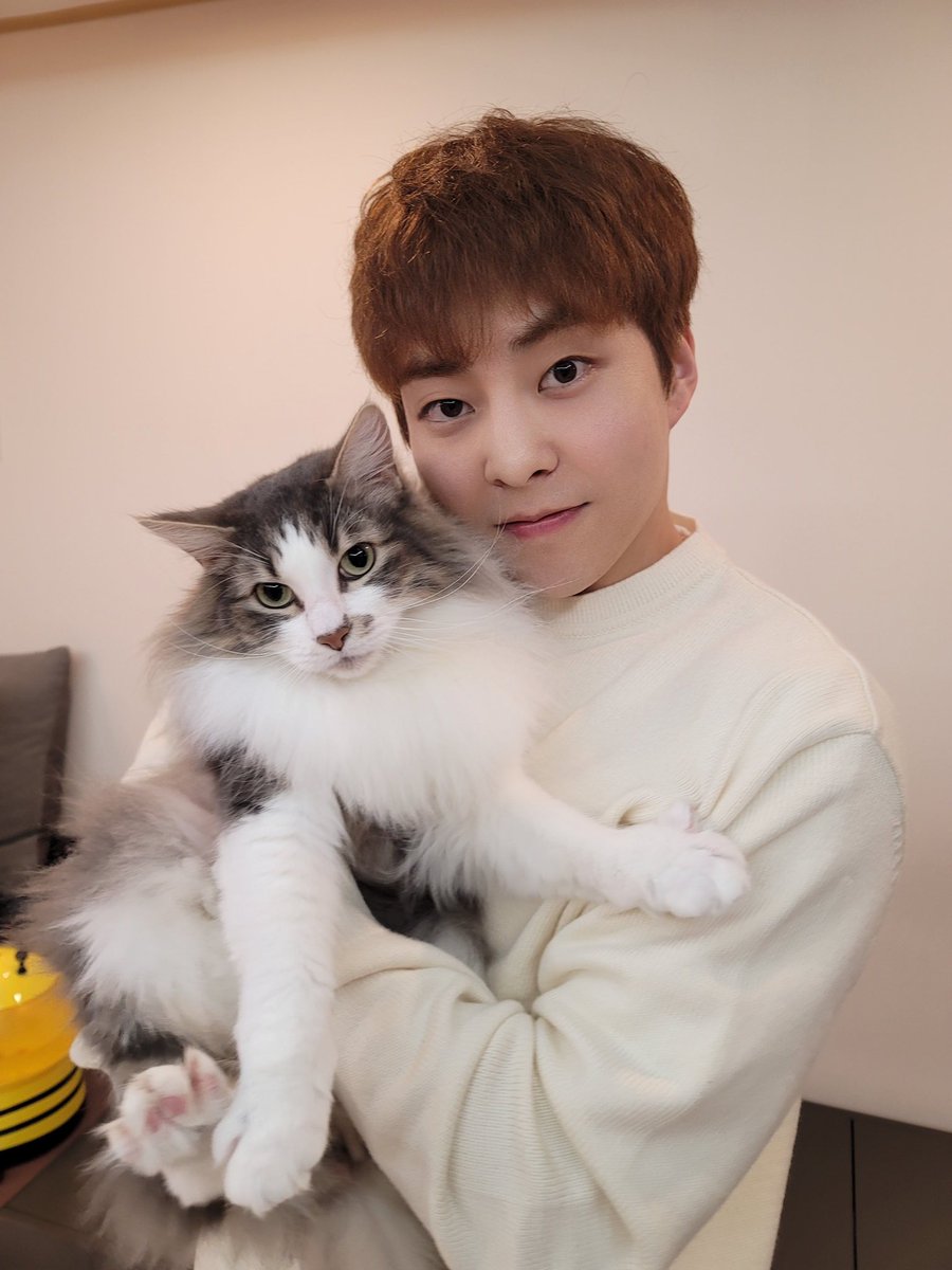 littlexiunshine's tweet photo. OH MY GOOOOODDDDD XIUMIN WITH TAN FINALLY!!!!! 😭😭😭😭😭😭😭 https://t.co/fVs4q5mkH4