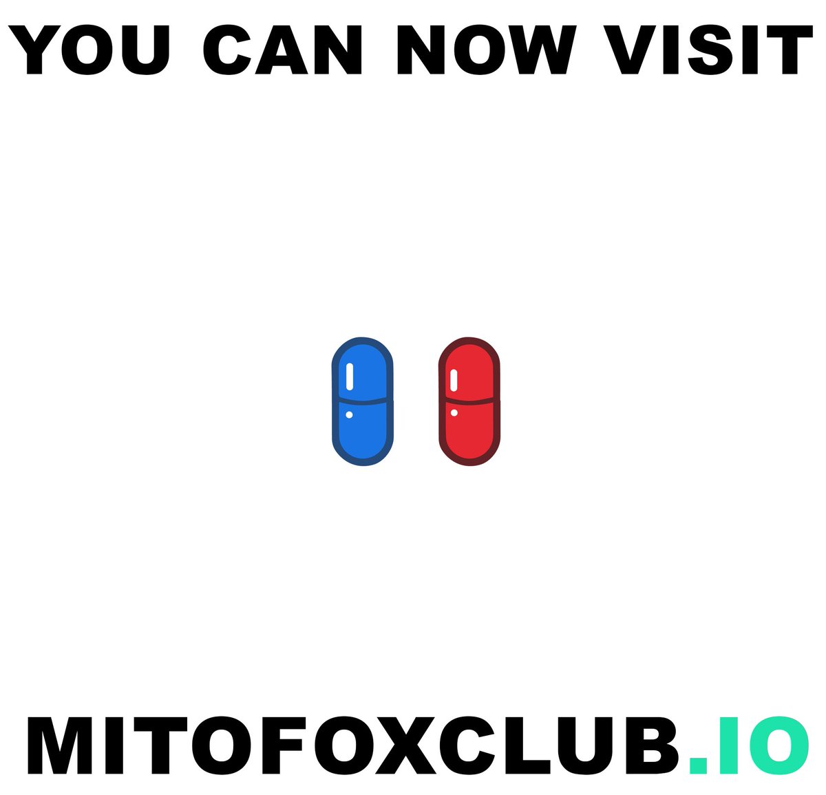 The website is online! 🚀🔥 <a href="/AntoineTava/">Antoine Tava</a> mitofoxclub.io

#nft #nfts #nftdrop #NFTCommmunity #NFTCommumity #nftart #NFTartist #crypto #ETH