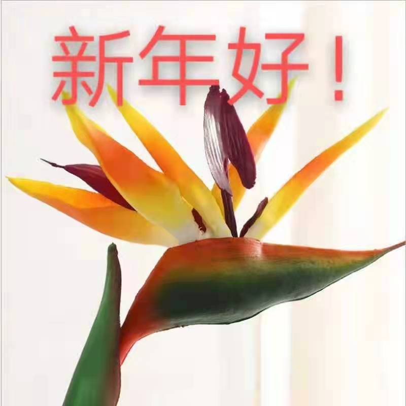 愿亲爱的朋友虎年事事如意！