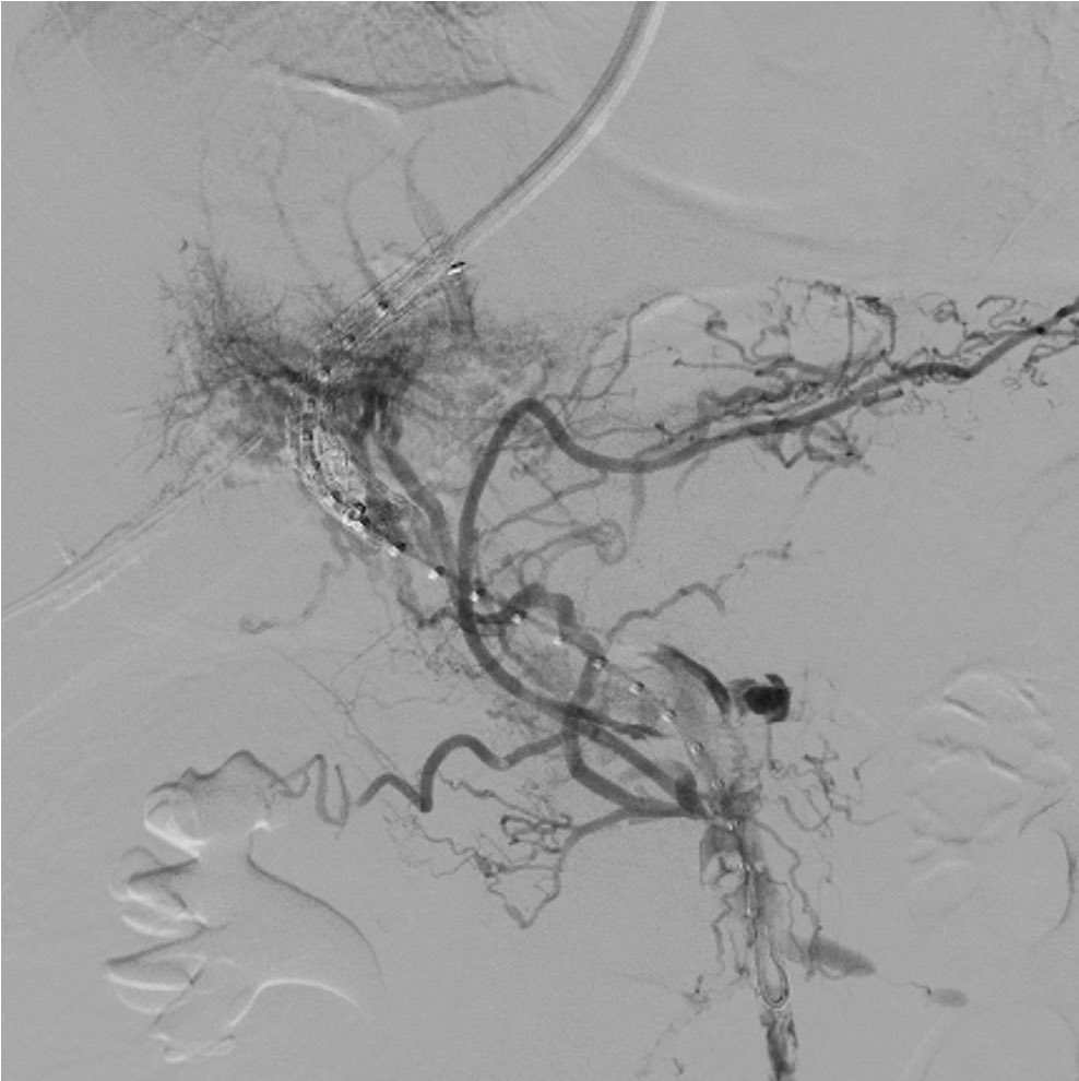 Jason Kim tweet media