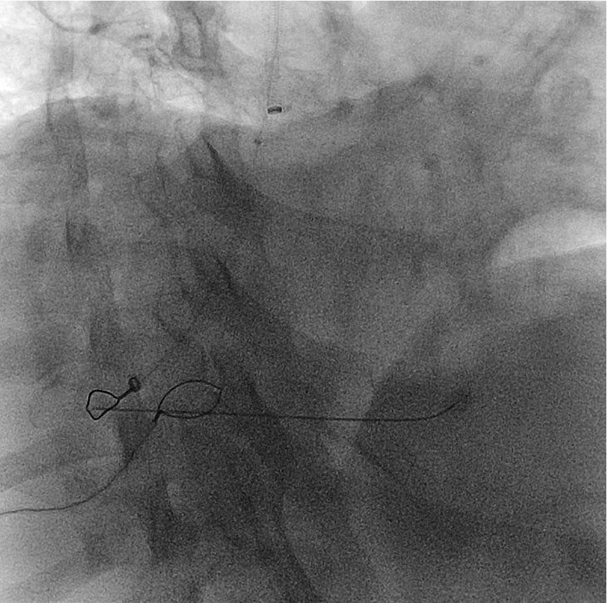 Jason Kim tweet media