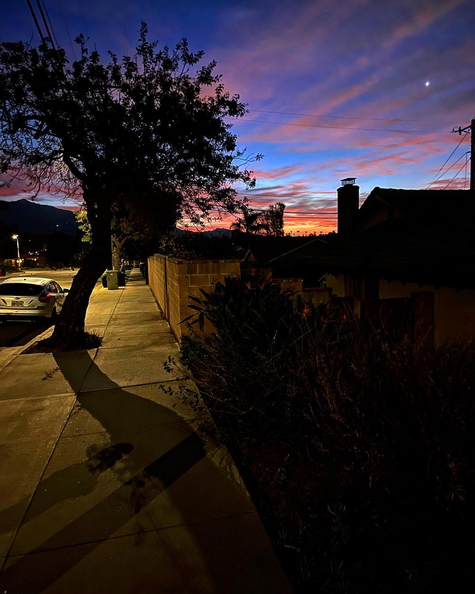 MDeanClark's tweet photo. Beasley and I left for our new morning walk at 5:30 and here are the 6 o’clock eastern skies (which you can see he’s *very* taken with). If this dog forces me to consistently fake being a morning person, there will be consequences and repercussions. #beasmode #hisaccountnow https://t.co/XMKmrunNEw