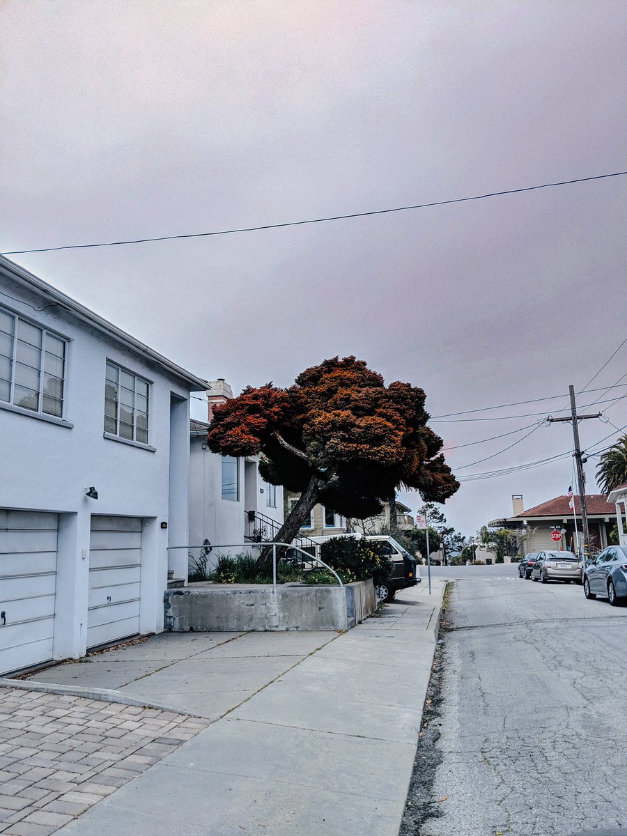 ~ “Here’s a spot.”  ~ “Location Scout” #nftphotography