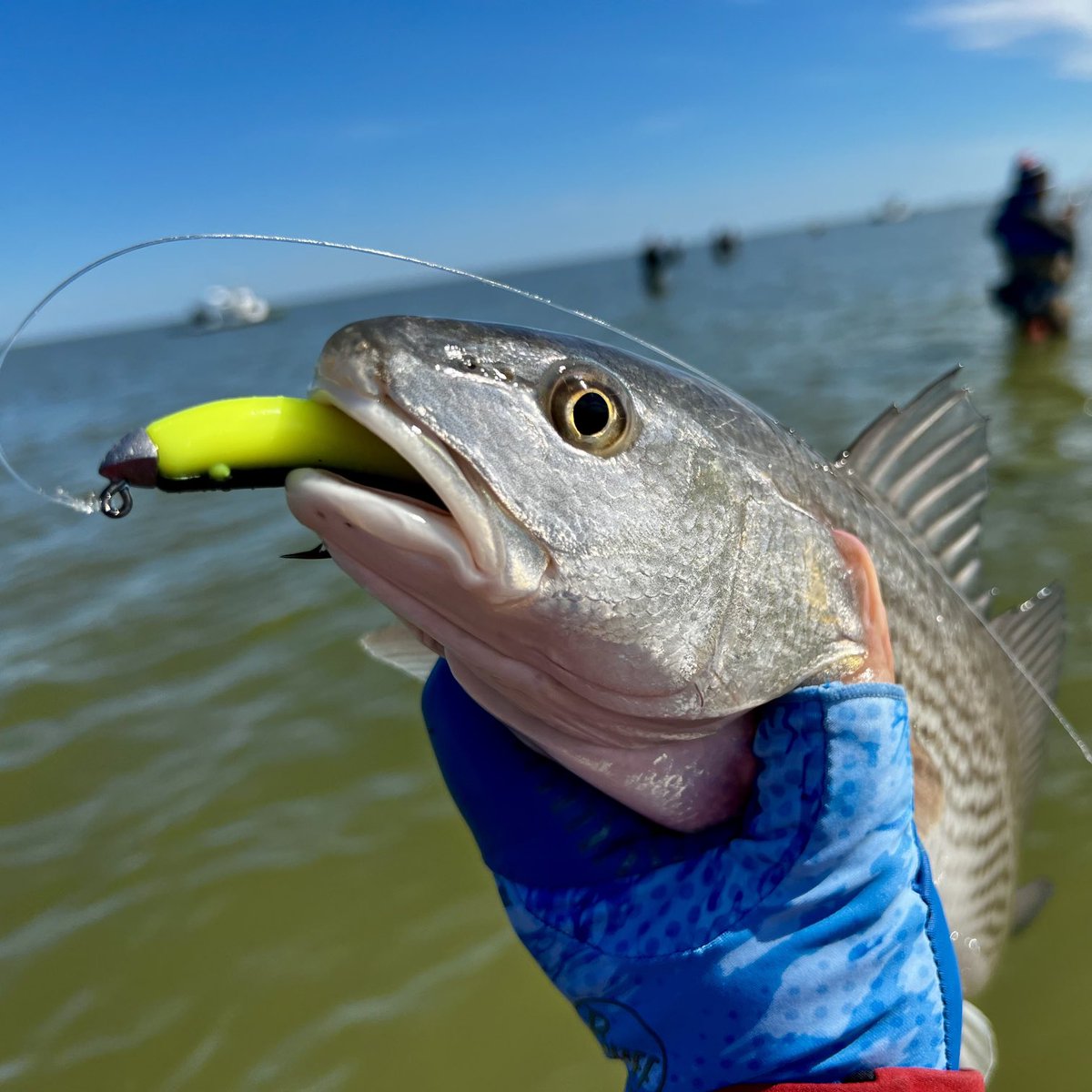 ruboinc's tweet photo. Nice catch I had over the weekend. Little guy put up a fight! #emptystringers #amlures https://t.co/ZxrGcNAjAK