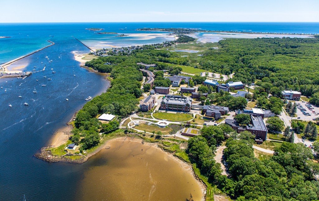 University of New England Football tweet media