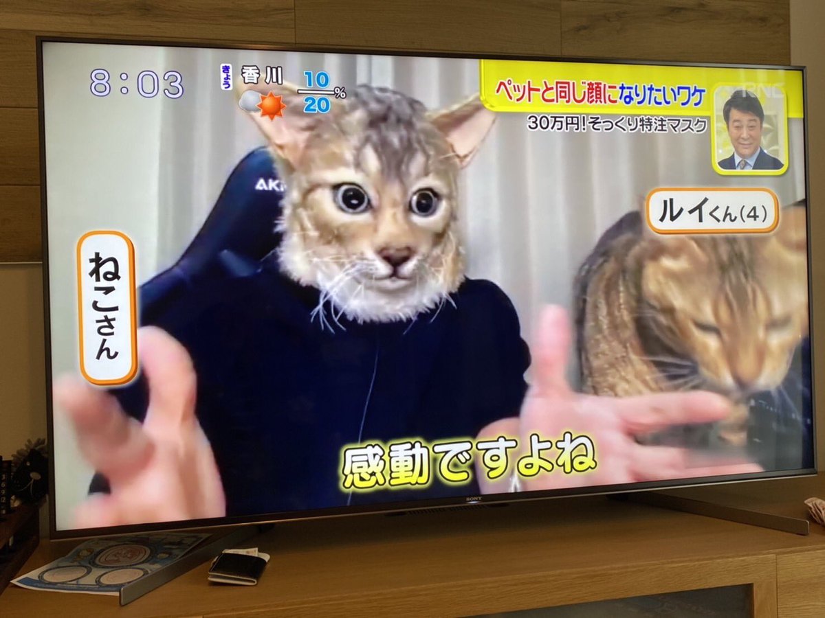 ねこつるtv Nekotsurutvneko Twitter