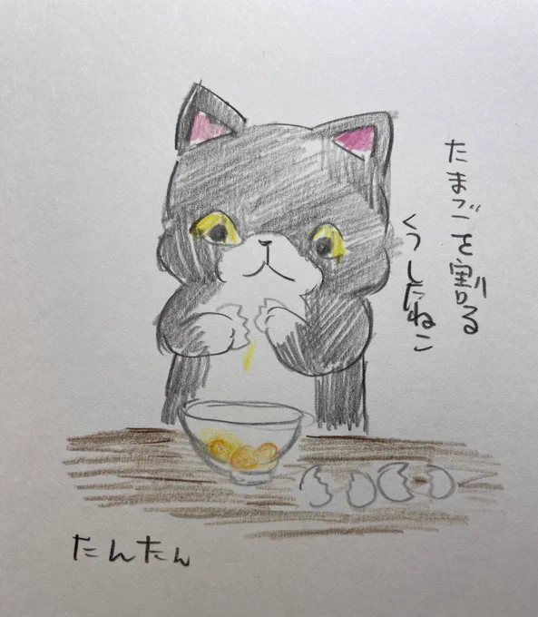 たまごを割るくつしたねこ1/3#イラスト #猫 