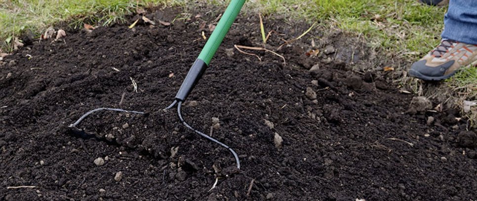 KMB Beautification committee member Dave Sheppard, "I enjoyed preparing the seed and learning more about the plants we added to the Butterfly trail. The Committee and the volunteers working together have given me a genuine sense of community." 
#KeepMesquiteBeautiful