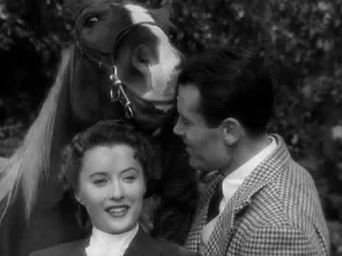 The Lady Eve (1941) an extremely funny romantic comedy about a beautiful card shark trying to seduce a bumbling millionaire. I cannot recommend this (and Preston Sturges's other films) enough. The pinnacle of banter and sight gags.