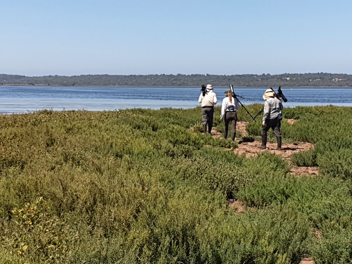 Mike_PHCC tweet media