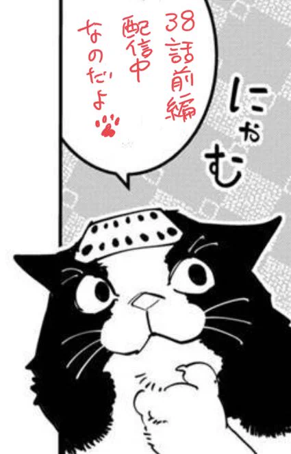 あおのたつきのX(旧Twitter)漫画(42件)【新着順】