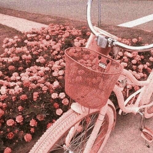 จอลอ⁴⁴ ♡ D – 5 tweet media