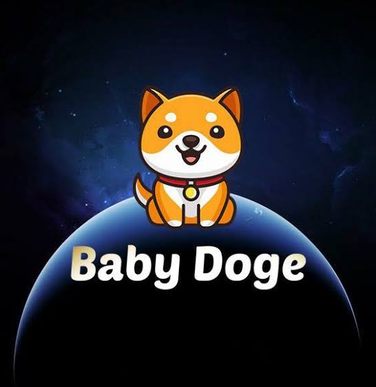 FitriaIndrie80's tweet photo. @babydogemedia I'am not a baby anymore 😄😍
@babydoge 
@_BabydogeArmy https://t.co/72gaVDk7su
