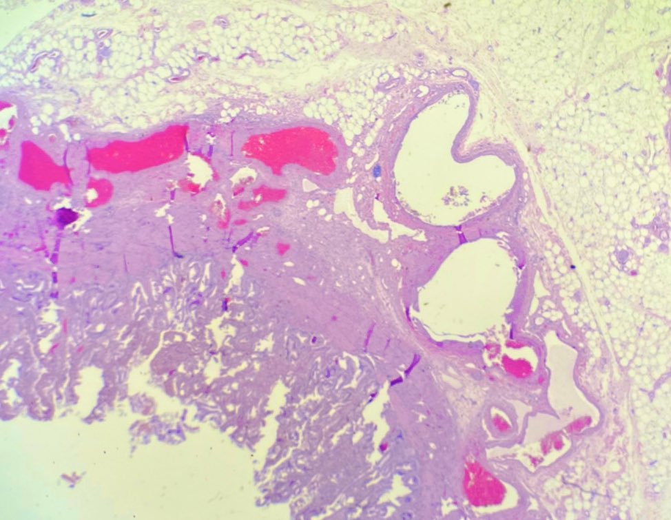 Hansalah's tweet photo. Sending some πβ€οΈπ to your timeline #PathArt #PathHeart https://t.co/FcmoIySsXi