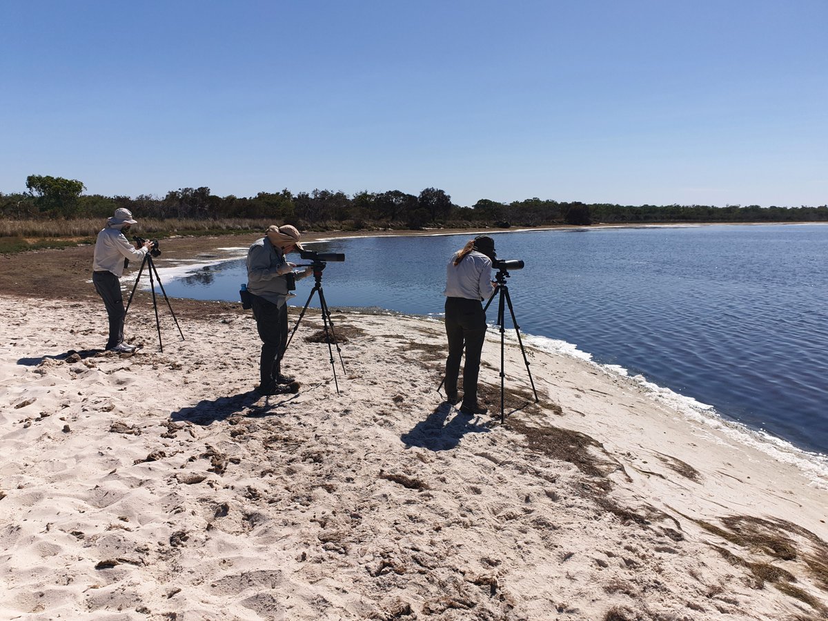 Mike_PHCC tweet media