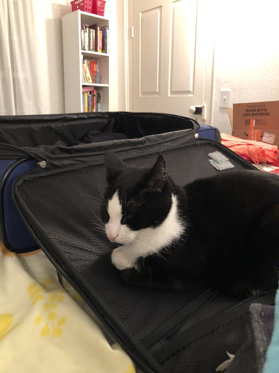 j. craig williams tweet media