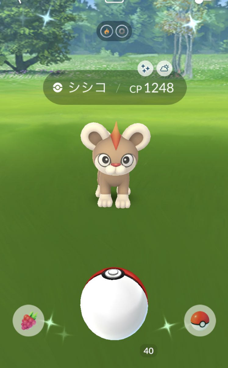 シシコ色違い Twitter Search Twitter