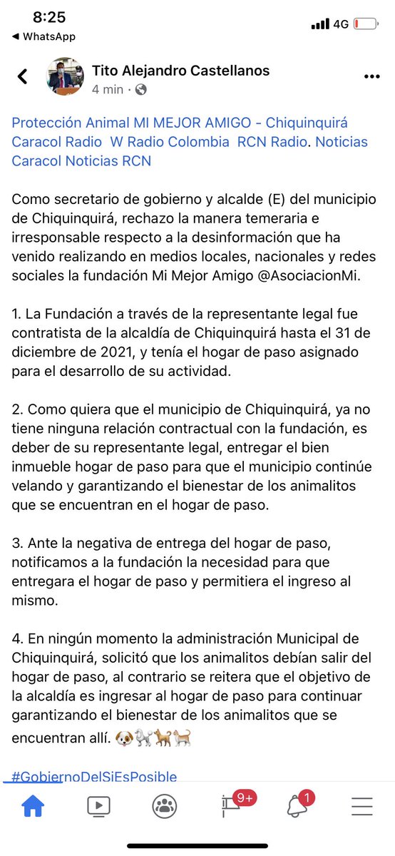 Asociacion de Protección Animal Mi Mejor Amigo tweet media
