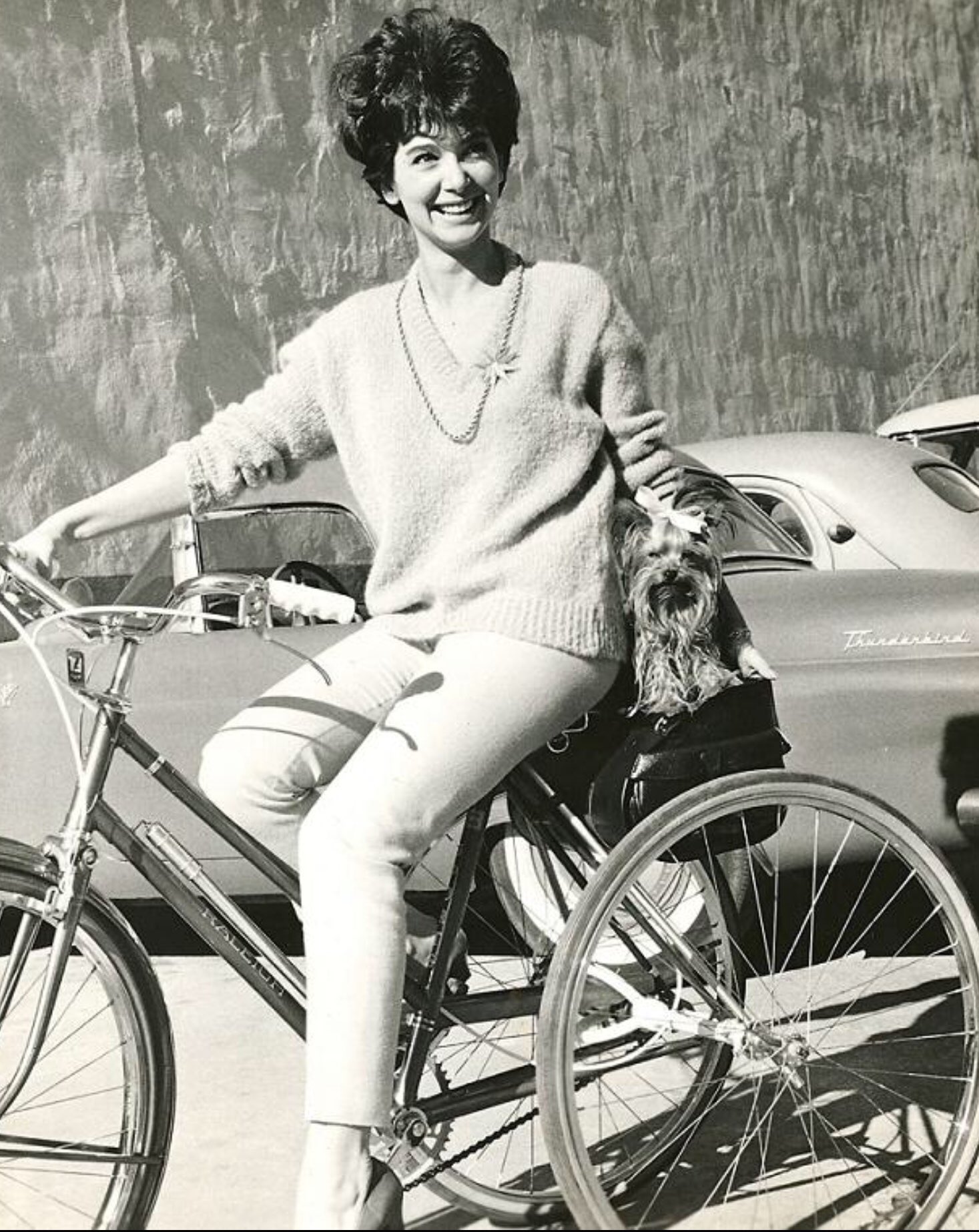 Happy heavenly birthday to gorgeous Suzanne Pleshette! She had the sexiest voice and laugh ever!    