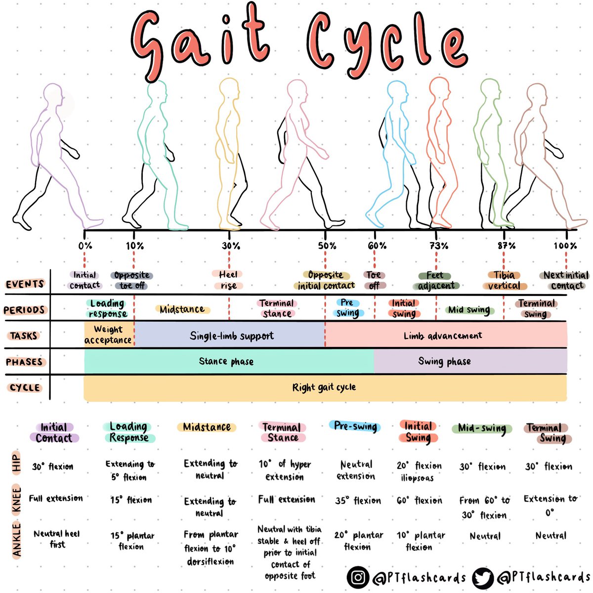PTFlashcards's tweet photo. GAIT CYCLE ✨
References: Magee, David J. Orthopedic Physical Assessment. 6th edition, Elsevier, 2014.
#GaitCycle #PhysicalTherapy #PTknows #PTstudygram #MedicalFacts #Studygram #PTreviews #Medicine https://t.co/UTxaY1PttA