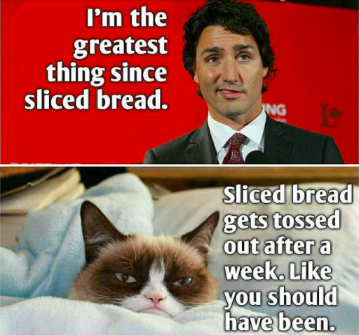 🚂Penny399 🇨🇦TRUDEAU🇨🇦 @ImaP91 @Im_Ken @TheyCallMeDoc1 @PSwal807 @AJ_Equalizer @InvidArcanis @valclark1022 @ItallionTony @JackJackedMe @jaimelynn5116 @DPen142 @0Toneman @JarrodJF @jtinaglia @jeffrocks60 @Sherric22150706 @Jexyka_3 @Scobra642 @StevenZack13 @shelbysnake2 @tonyMAGAA