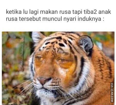 atau malah dapat dessert..  1cak.com/2927026