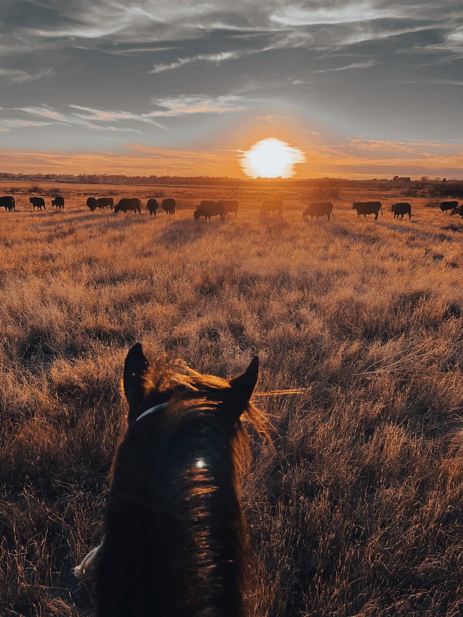 A place that will set your mind free