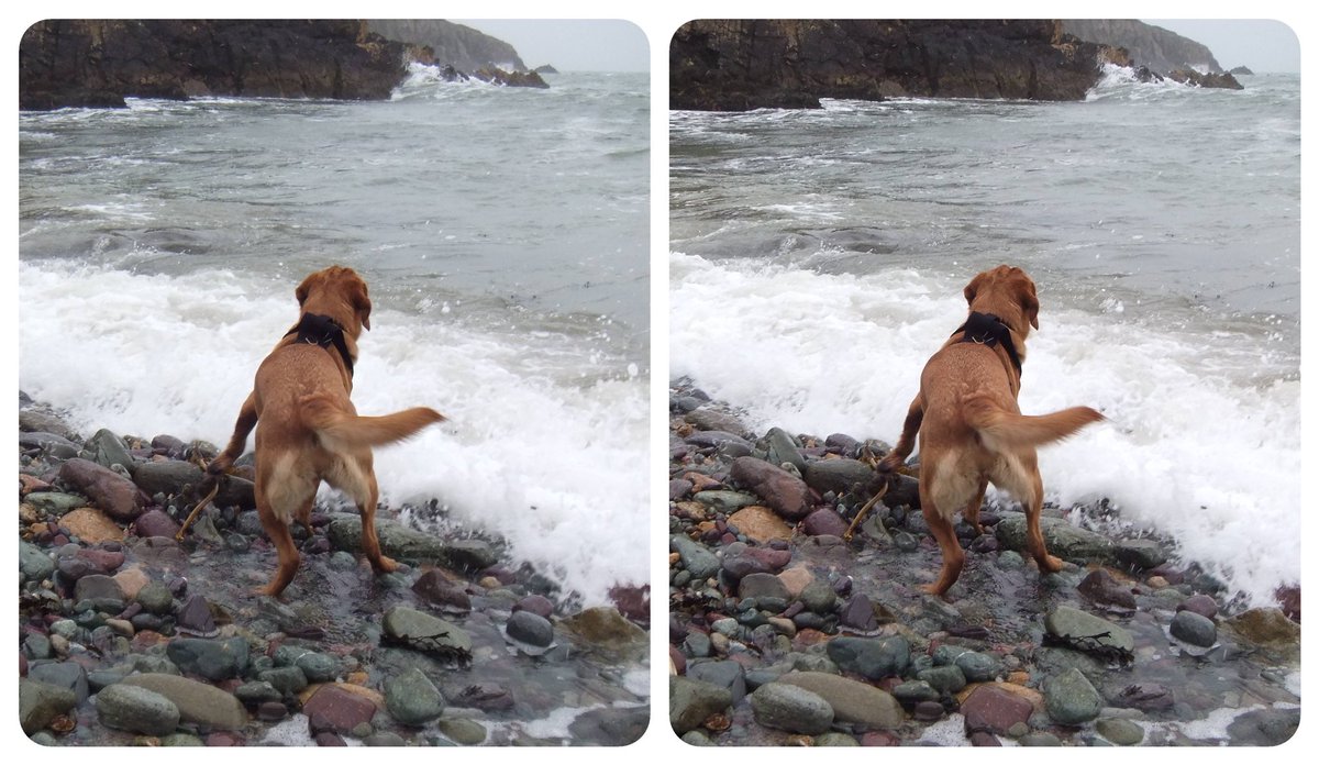 DoggoPunky's tweet photo. Thinking of the sea, and water generally. I love it!
Except bathtime.
#stereoscopic
#stereoviews
#stereocards https://t.co/t8qVxKRErx
