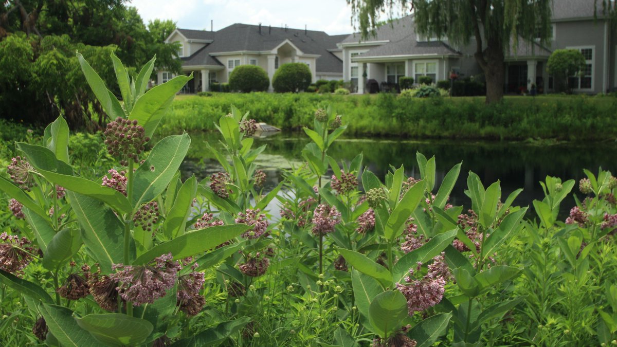 #Spring will be here before we know it! 🌼

Our crew installs #sustainable landscapes that are beautiful AND beneficial; you can watch its natural beauty shine all season long. ✨

Call or visit our website to schedule your service today! 📞 815-247-4457

pizzo.info/sustainable-la…