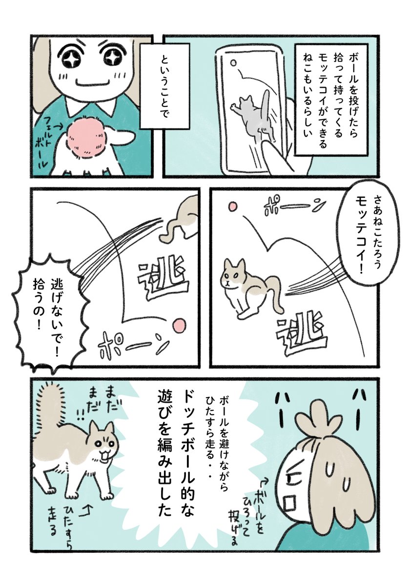 ねこと楽しむボール遊び。みなさんのご家庭ではいかがですか・・?

#みちこの日記   #コルクラボマンガ専科 #猫がいる暮らし 