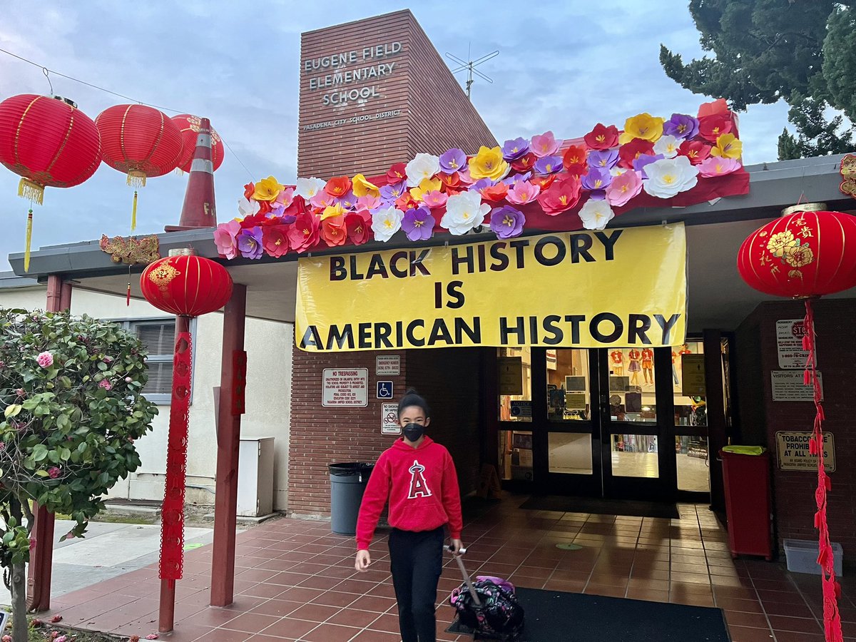 Helen Chan Hill tweet media