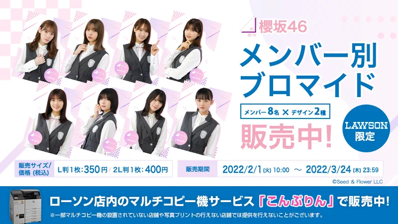 欅坂46 櫻坂46 ローソン オリジナル ブロマイド 生写真 17種 管1004 櫻