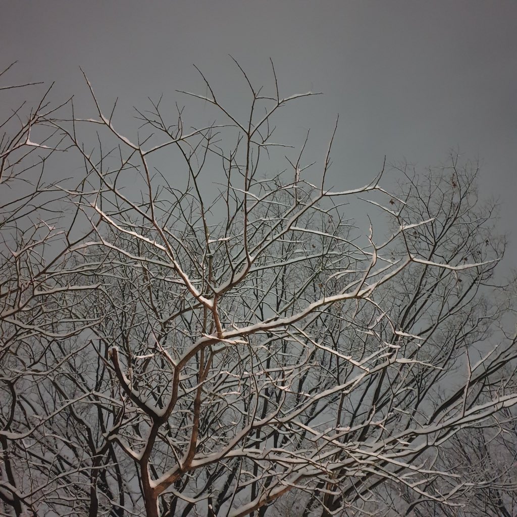 눈 오니까 영현이 더 많이 생각난다
