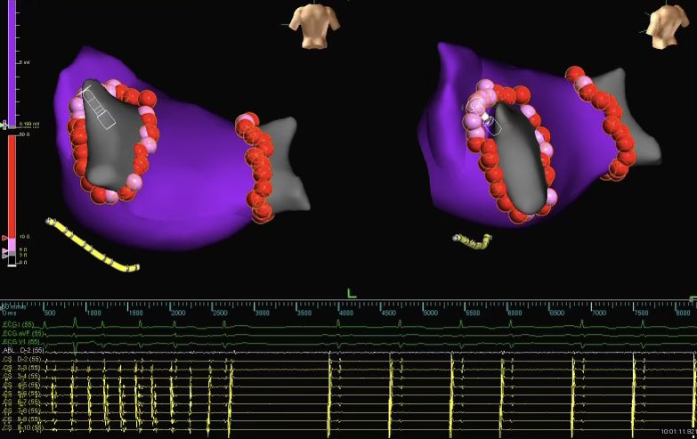Marissa Martinez tweet media