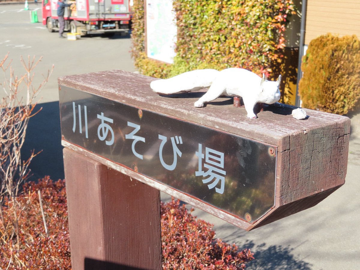 DoraYas's tweet photo. 道志の道の駅の裏
川あそび場で
遊んでたのは・・・ https://t.co/Cu87Yljuo5