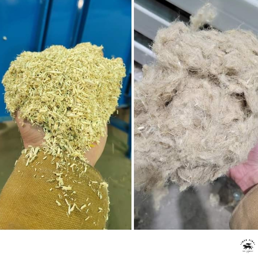 fiber_tiger's tweet photo. #MondayMotivation Our processing line is up and running producing premium grade Hemp Hurd and Fiber, and the #USsupplychains are opened. Stay tuned while we finish some pilot testing; we'll be taking orders soon once we build up our inventory! https://t.co/adAYfJcMR9