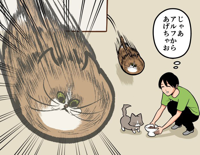 飼い主「ほのぼの漫画に憧れている」 アグレッシブな猫の行動に困惑! https://t.co/SPSkLKHCYz @grapeejpより 