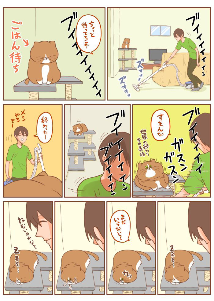 飼い主「ほのぼの漫画に憧れている」 アグレッシブな猫の行動に困惑! https://t.co/SPSkLKHCYz @grapeejpより 