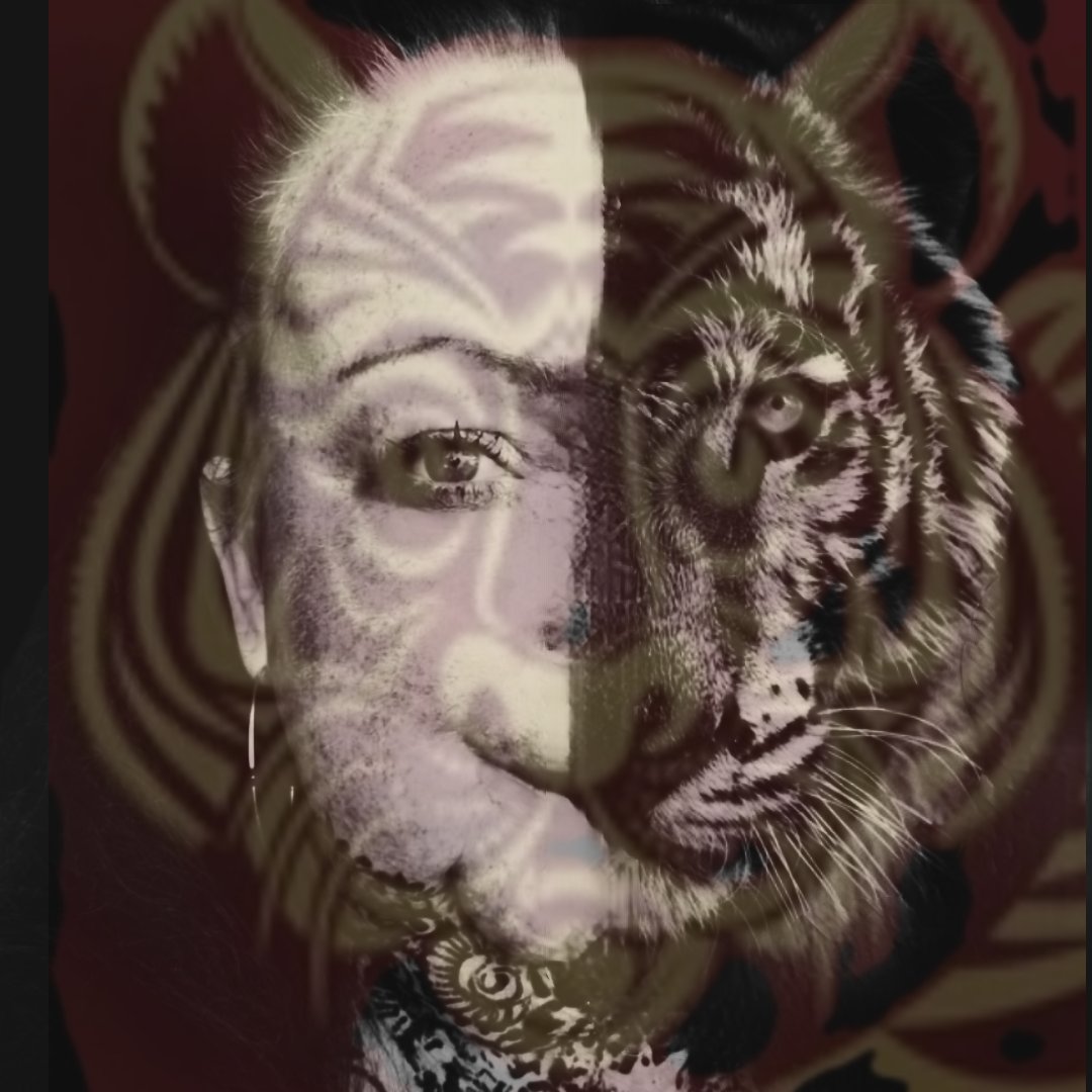 HAPPY CHINESE NEW YEAR 2022
The Year of the Tiger
