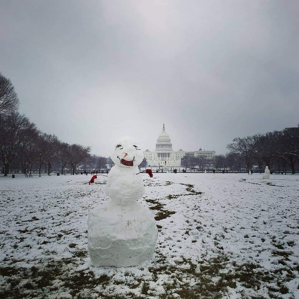 paduraru_oxana's tweet image. Snowstorm from last year ☃️❄🌨
#OnThisDay #MyDCcool #creativeDC
