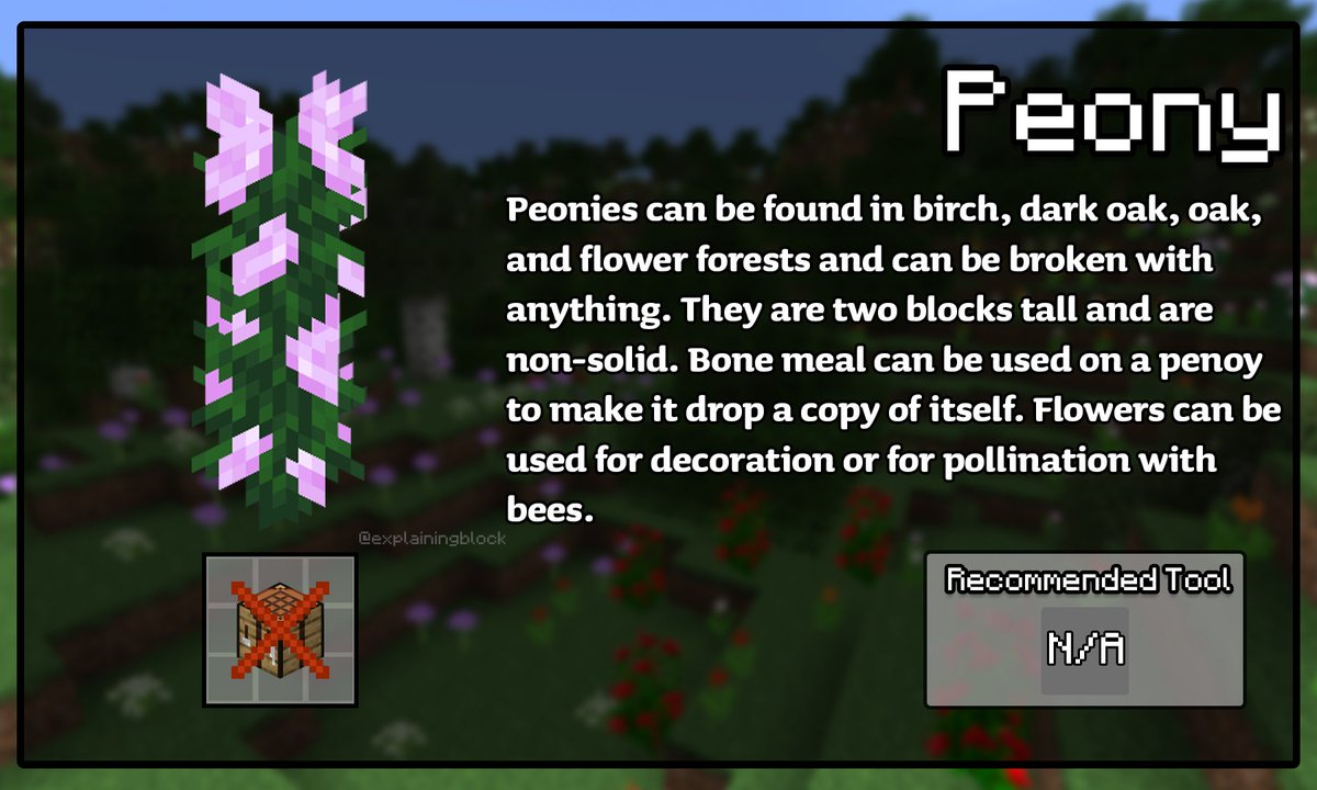 Explaining One Block Per Day tweet media