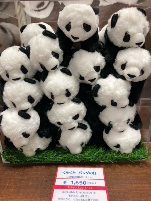 くたくたパンダの仔 ＼ 小さいころのジャイアントパンダ「シャンシャン