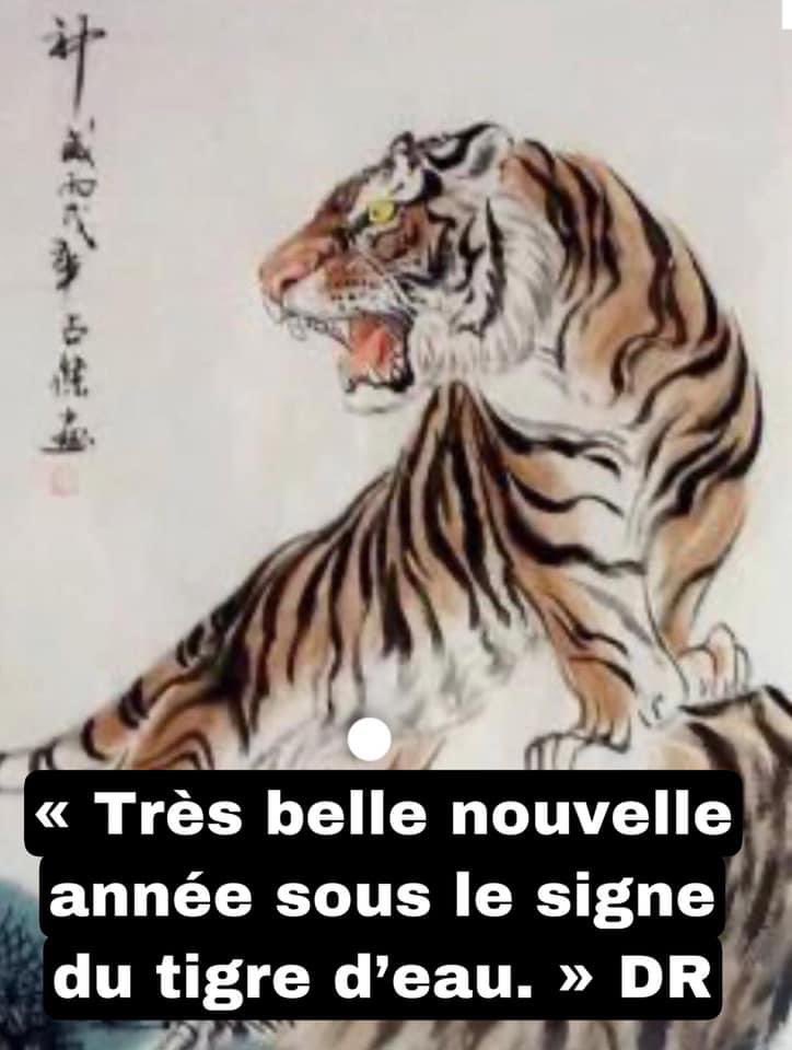 Très belle nouvelle année sous le signe du tigre d’eau. Bonheur et prospérité ; Santé , Réussite et Bienveillance ; Force, Sérénité et Sagesse à chacune et à chacun d’entre vous.
