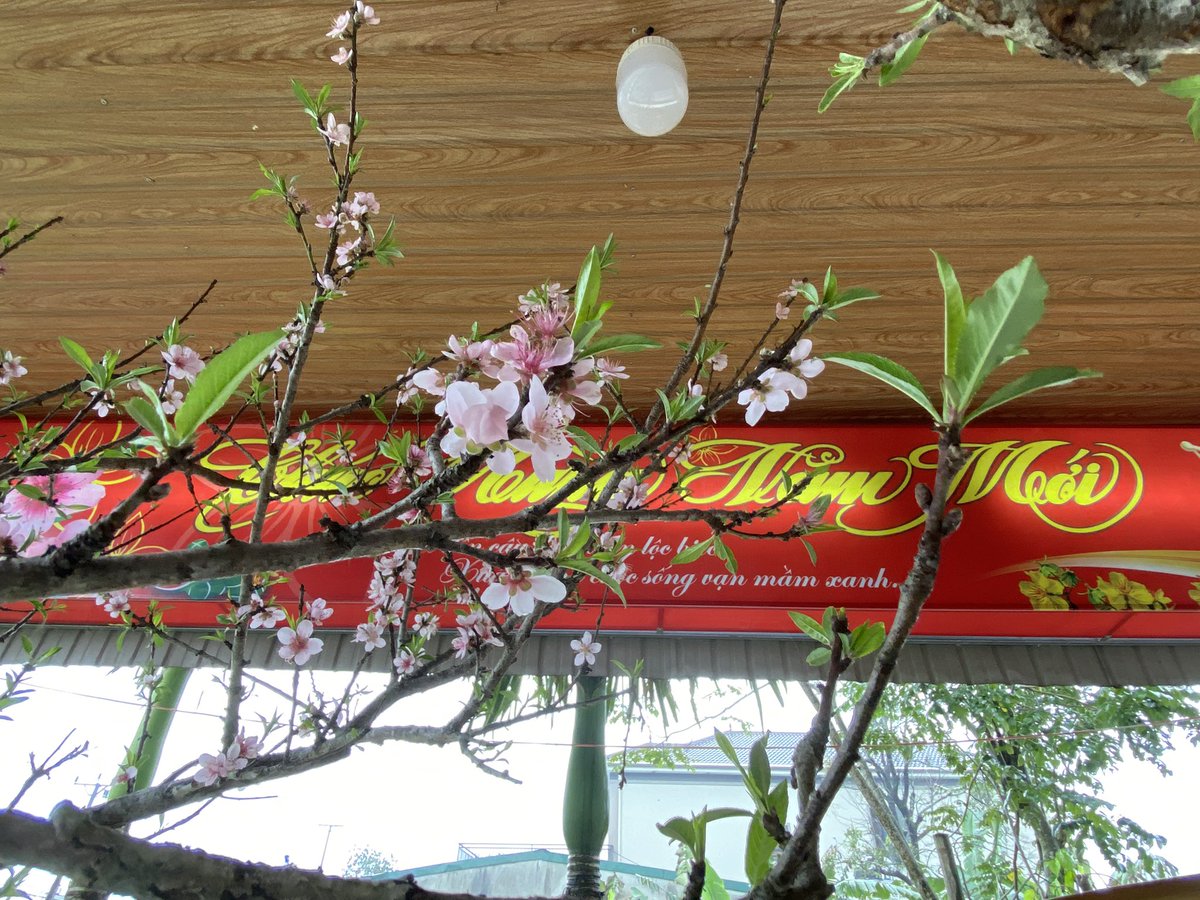 Le Dinh Tinh tweet media