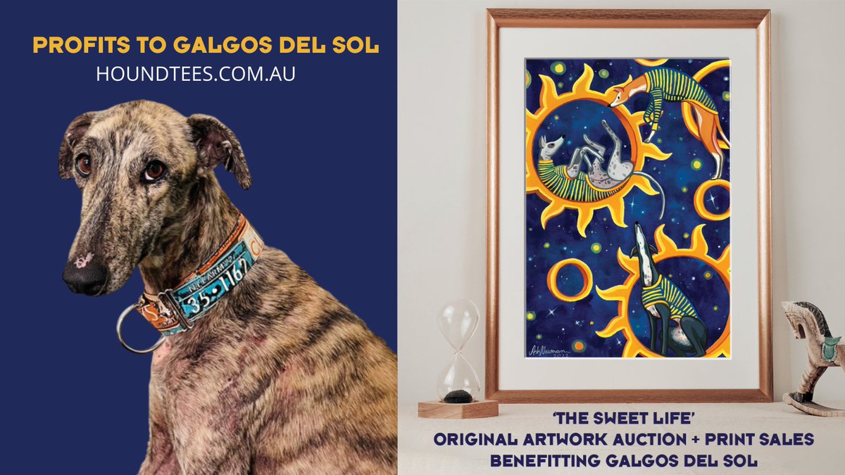 The profits from each #houndtees sold today until 11:59PM GMT+11 AEDT will benefit @GalgosdelSol! Help us make a difference in a sighthounds life: houndtees.com.au #freethegalgo #feelgoodfashound