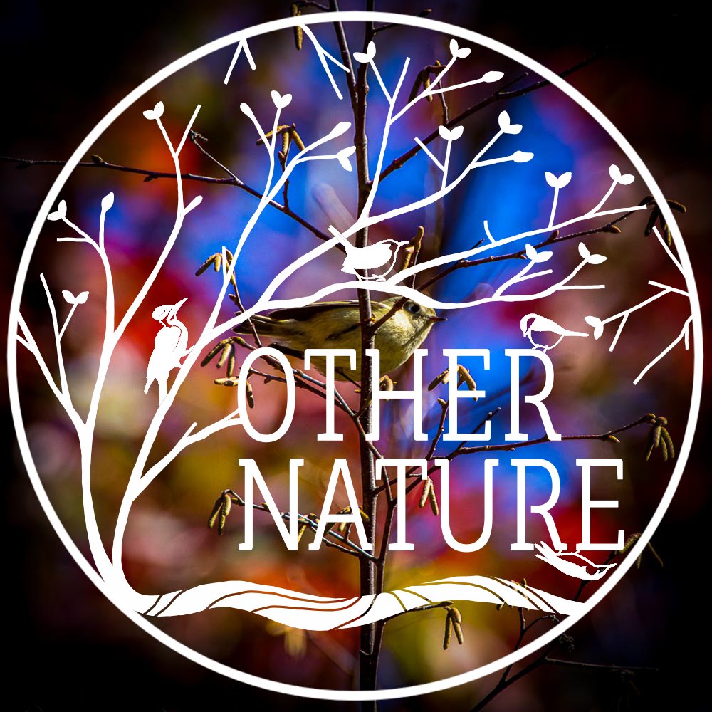 phrankberes's tweet photo. Starting February 1st, I'm indelibly preserving one original nature photo to this collection, every day, forever.
Please join me on this #nftphotography mission that's unlike anything else: Conservation Through Dedication.

https://t.co/9J25sreoNd https://t.co/ShIC7klJnB